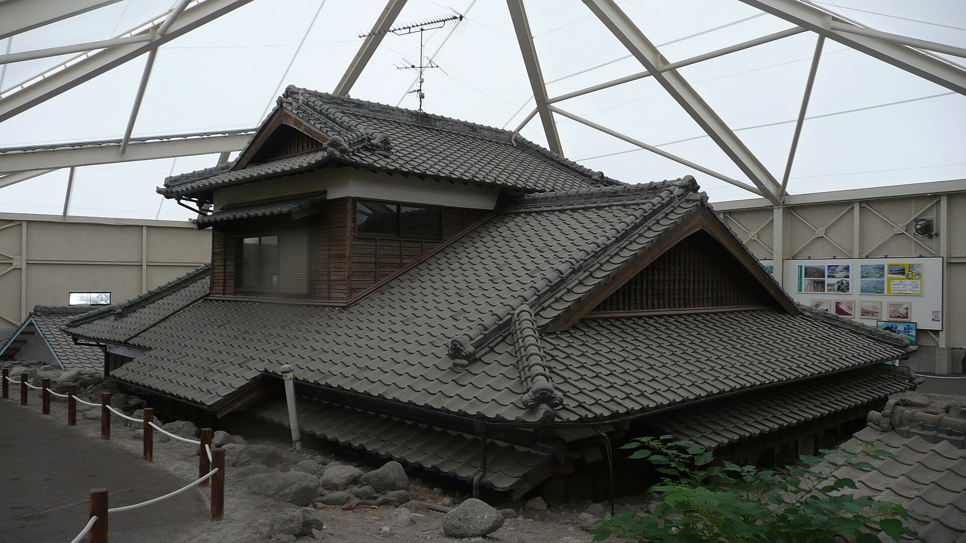ひまわり
