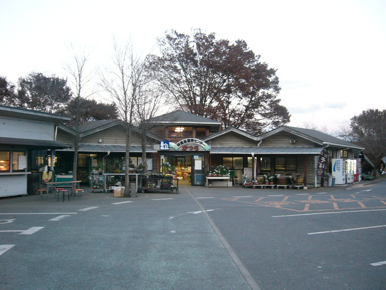 かつら
