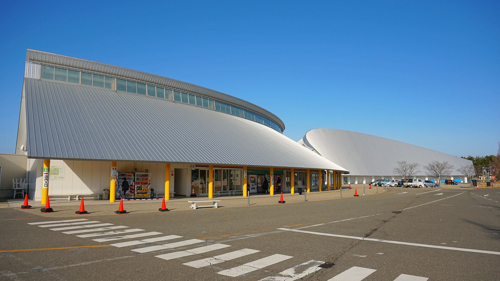 おおがた