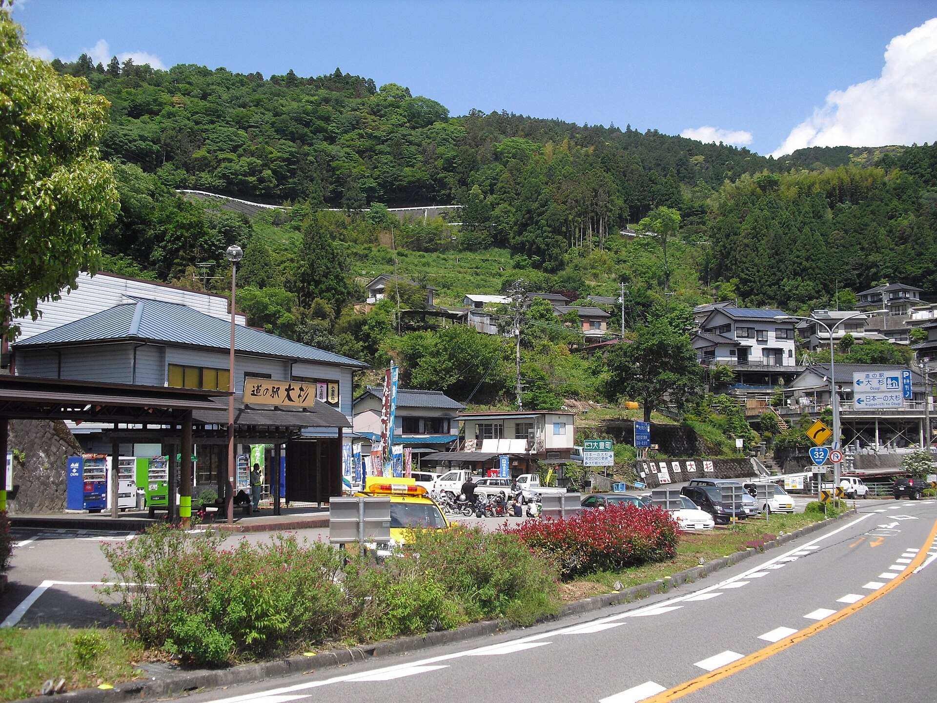 大杉
