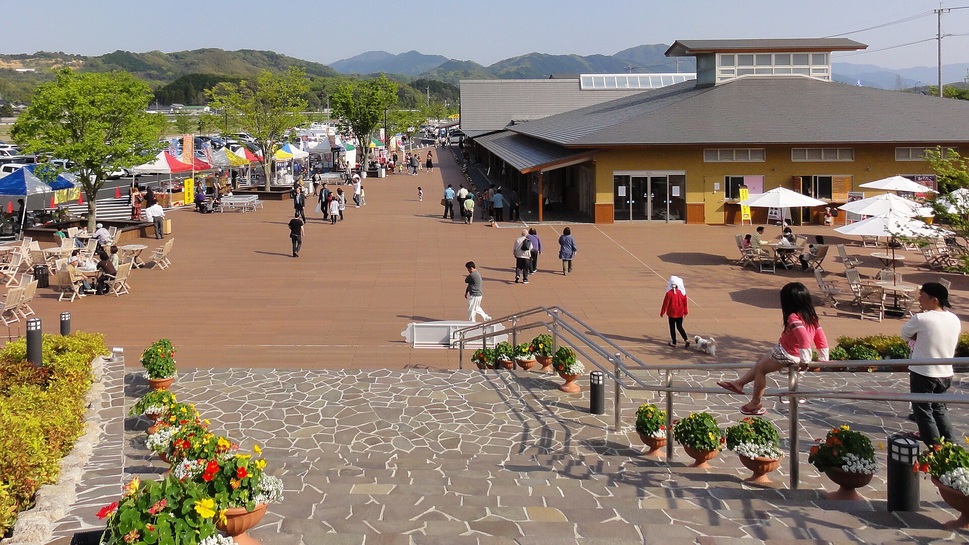 おおとう桜街道