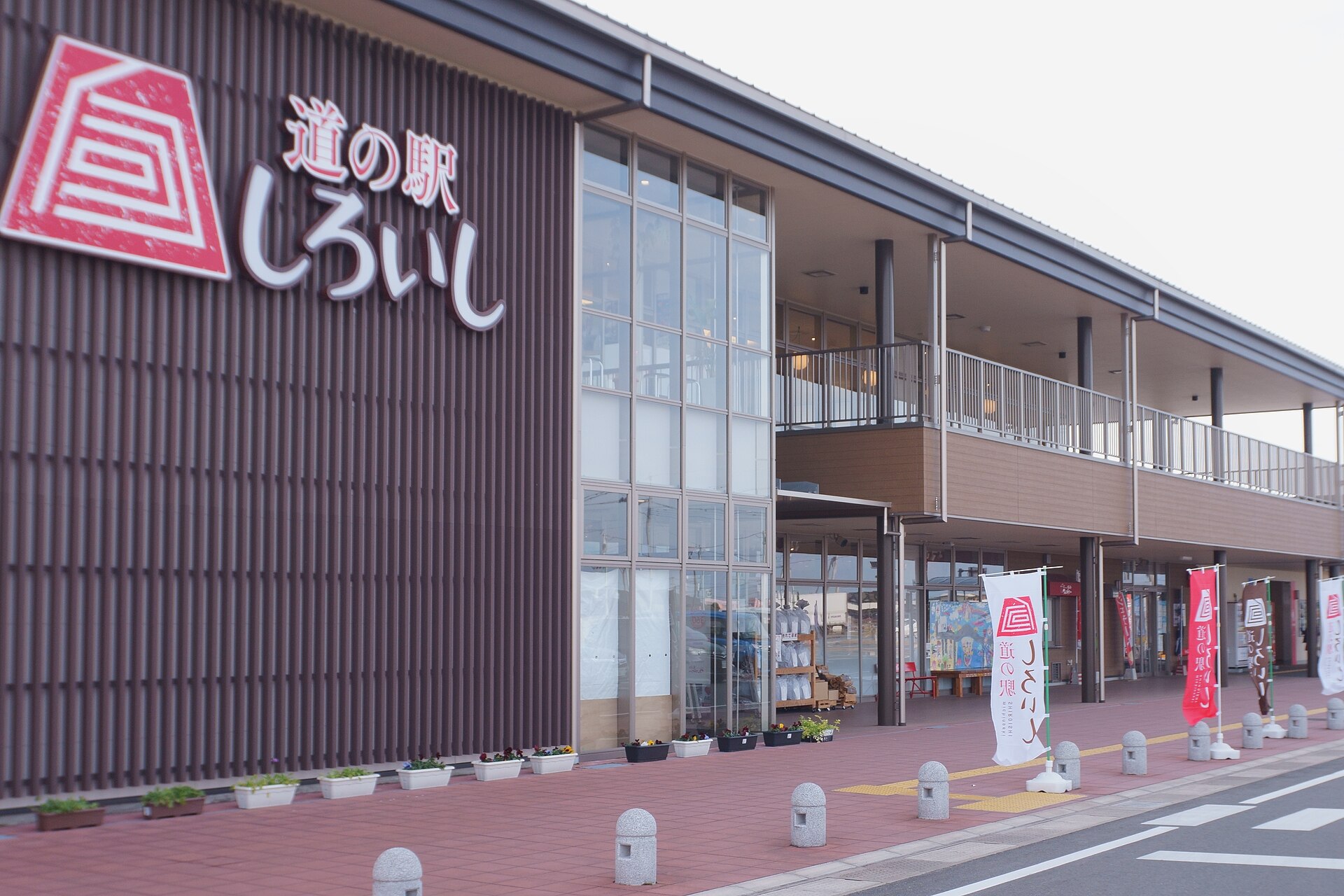 しろいし