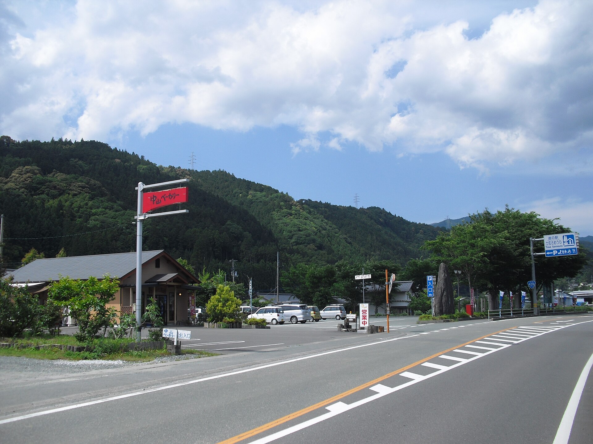土佐さめうら
